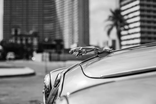 Kazino Loyal Bet Android/iOS Lietotne